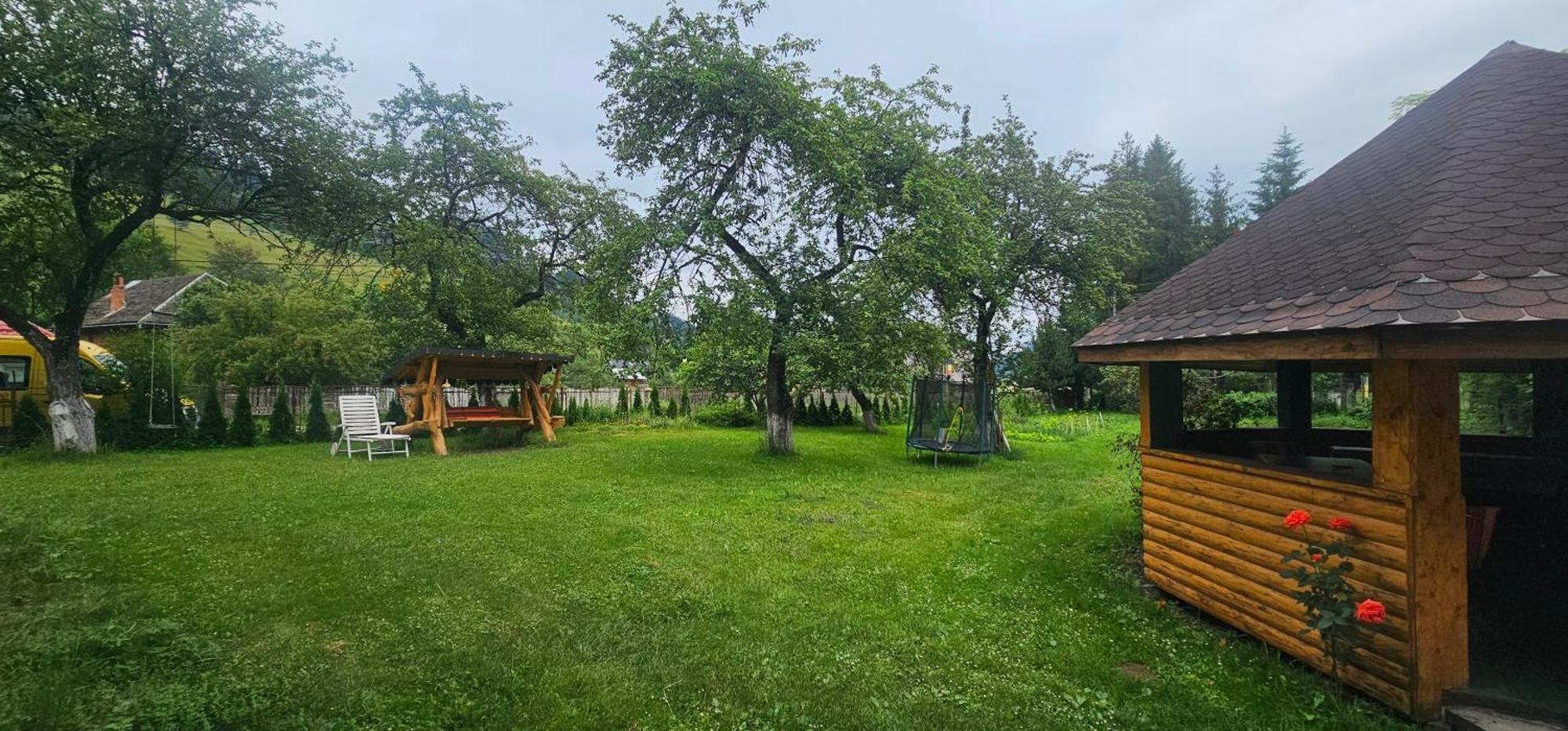 Villa Ileana Ceahlau Ngoại thất bức ảnh